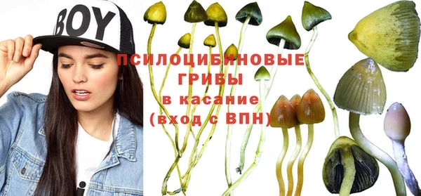 MESCALINE Богородск