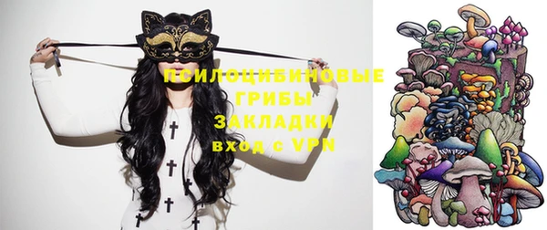 гидра Богородицк